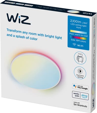 WiZ taklampe 929003209101