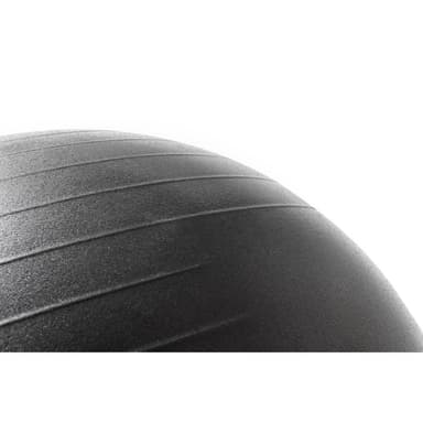 Reebok Gym Ball 55 cm.