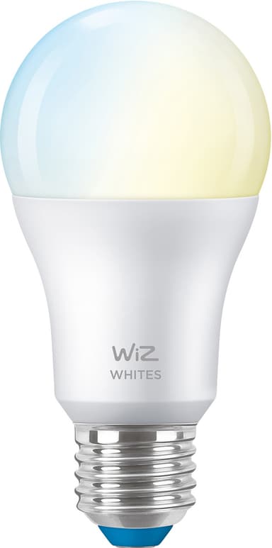 WIZ 929002383522 LED bulbs