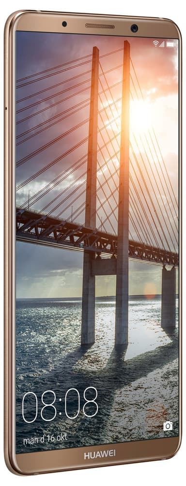 Huawei Mate 10 Pro smarttelefon (mochabrun)