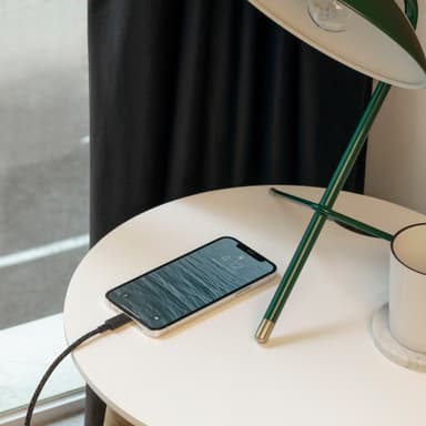 Native Union Belt USB-C til Lightning kabel (sebra)