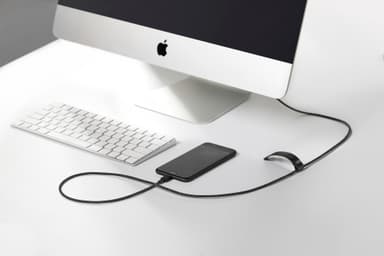 Native Union Belt USB-C til Lightning kabel (sebra)