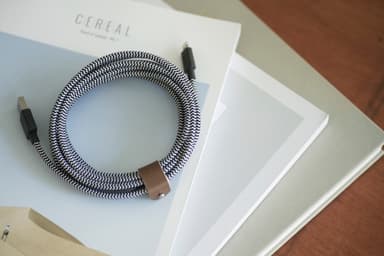 Native Union Belt XL USB-A til Lightning kabel (sebra)
