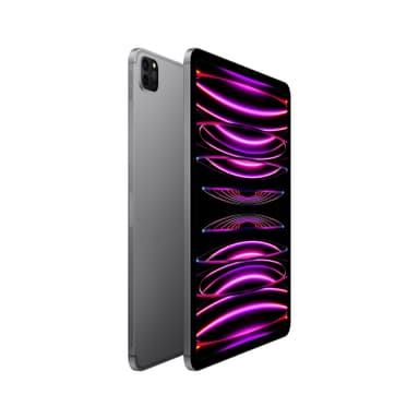 iPad Pro 11" 2022 1 TB WiFi + 5G (stellargrå)