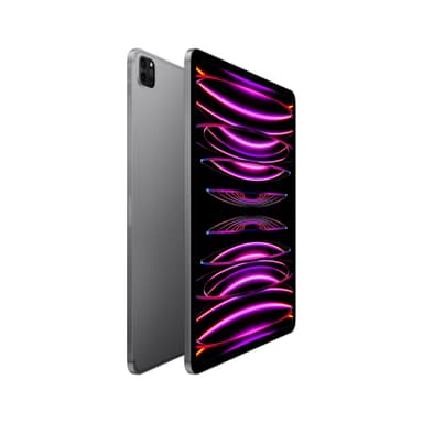 iPad Pro 12,9" 2022 1 TB WiFi + 5G (stellargrå)