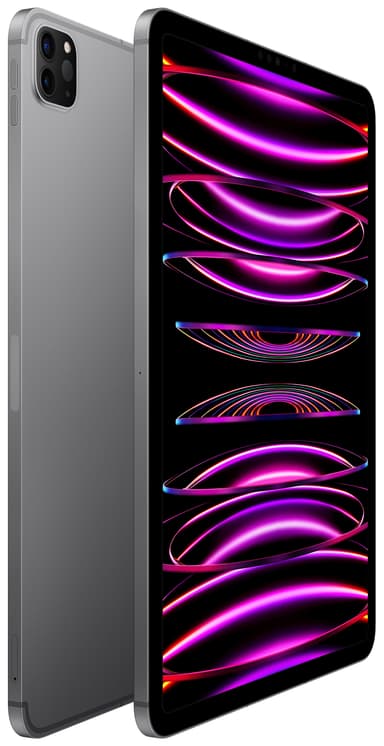 iPad Pro 11" 2022 2 TB WiFi + 5G (stellargrå)