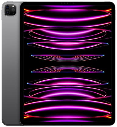 iPad Pro 12,9" 2022 512 GB WiFi + 5G (stellargrå)