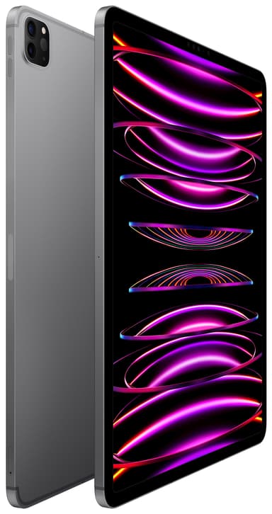 iPad Pro 12,9" 2022 512 GB WiFi + 5G (stellargrå)
