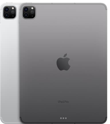 iPad Pro 11" 2022 1 TB WiFi + 5G (stellargrå)