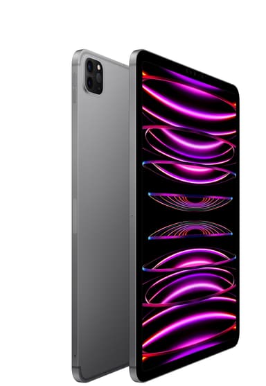 iPad Pro 11" 2022 128 GB WiFi + 5G (stellargrå)
