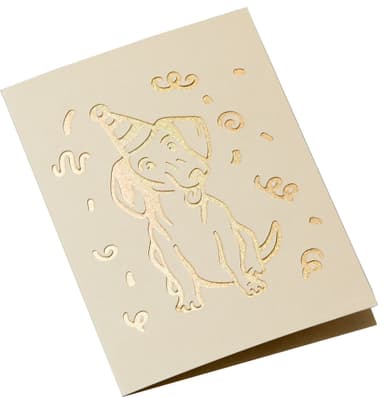 Cricut Cut-Away kort R40 (nøytral)