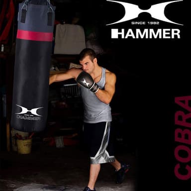 Hammer Boxing Set Cobra