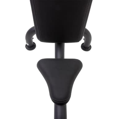 Master Fitness Master Royal Utility Bench