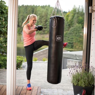 Abilica Punch and kick