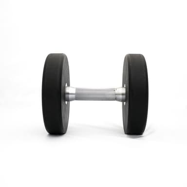 Titan Life PRO Dumbbell PU 14 kg
