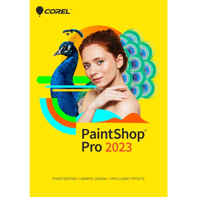 PaintShop Pro 2023 - PC Windows