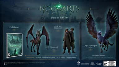 Hogwarts Legacy - Deluxe Edition (Switch)