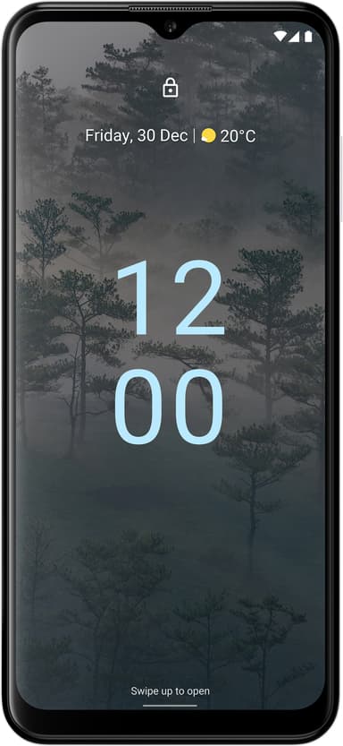 Nokia G60 5G smarttelefon 4/64GB (grå)