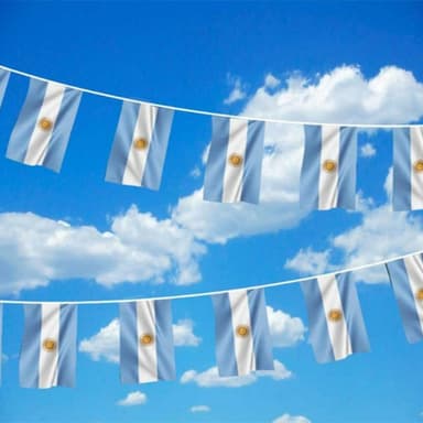 2022 World Cup Bunting Banner Argentina Flerfarget