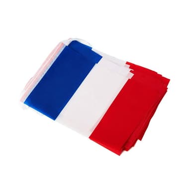 2022 World Cup Bunting Banner Frankrike Flerfarget