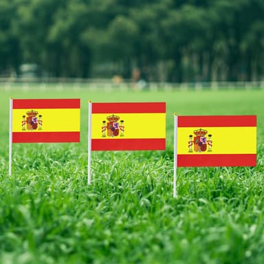 2022 World Cup flagg Spania 5-Pack Flerfarget