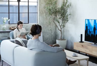 Sony trådløse around-ear hodetelefoner MDR-RF895RK