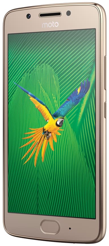 Motorola Moto G5 smarttelefon (gull)