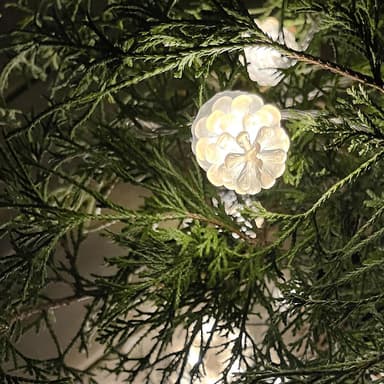 LightsOn Furu 10m lysstreng hvite iriserende kongler