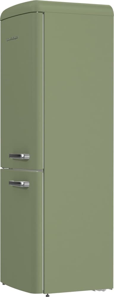 Gorenje Kjøl/frys 739931 (Oliven)