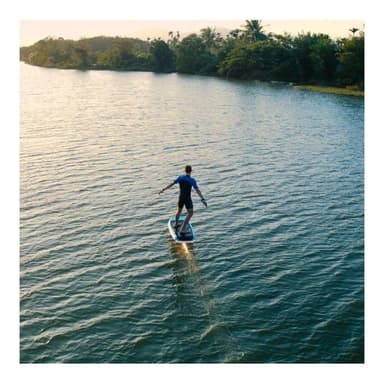 WaveShark FOIL 2 EXPLORER