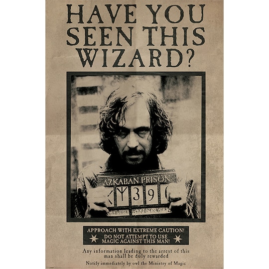 Harry Potter plakat Wanted