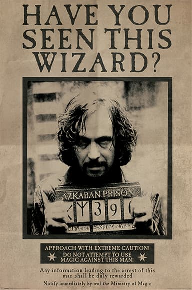 Harry Potter plakat Wanted