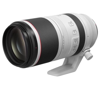 Canon RF 100-500mm f/4.5-7.1L IS USM