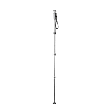Gitzo GM2542 Monopod Serie 2