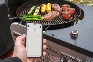 Weber iGrill Mini steketermometer 7220