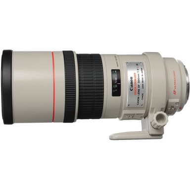 Canon EF 300mm f/4.0L IS USM