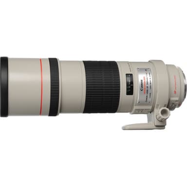 Canon EF 300mm f/4.0L IS USM