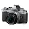 Nikon Z fc  Z DX 16-50mm f/3.5-6.3 VR