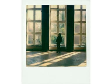 Polaroid Originals Color Film For SX-70