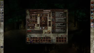 Icewind Dale: Enhanced Edition - PC Windows,Mac OSX,Linux