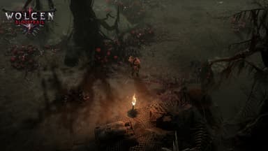 Wolcen: Lords of Mayhem - PC Windows