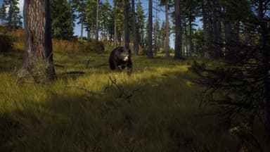 Way of the Hunter: Elite Edition - PC Windows