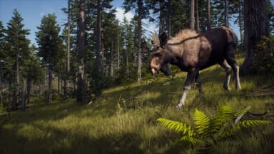 Way of the Hunter: Elite Edition - PC Windows