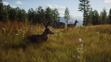 Way of the Hunter: Elite Edition - PC Windows
