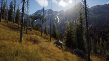Way of the Hunter: Elite Edition - PC Windows