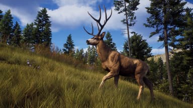 Way of the Hunter - PC Windows