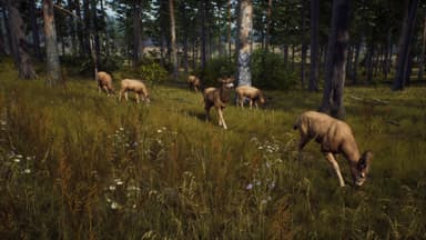Way of the Hunter: Elite Edition - PC Windows