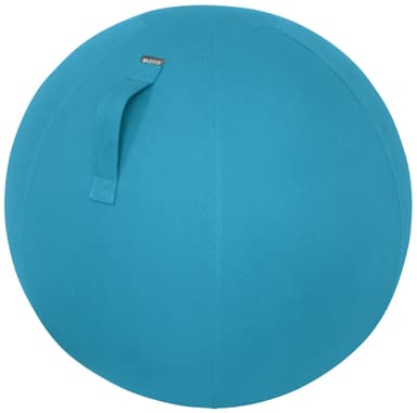 Leitz Ergo Cosy aktiv balanseball