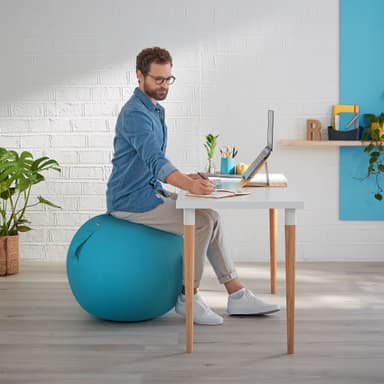 Leitz Ergo Cosy aktiv balanseball