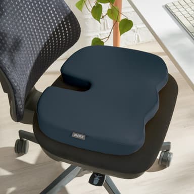 Leitz Ergo Cosy sittepute